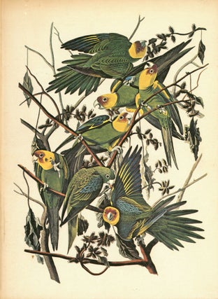 Item #1434 The Birds of America. John James AUDUBON