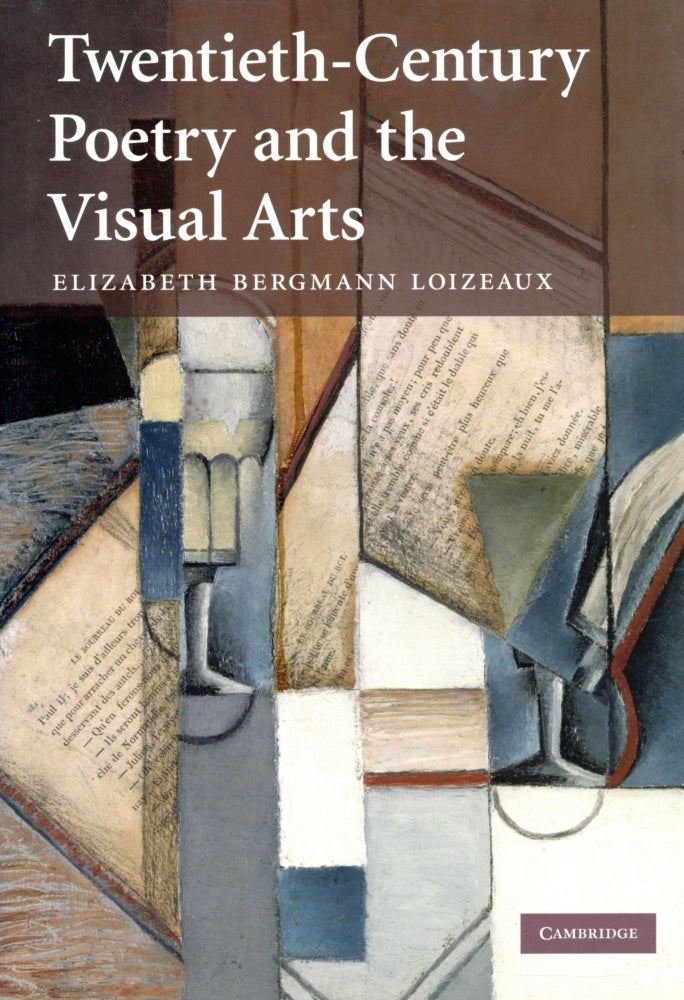 Item #4239 Twentieth-Century Poetry and the Visual Arts. Elizabeth Bergmann LOIZEAUX.