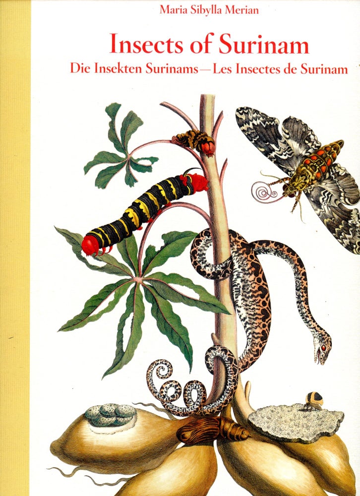 Item #4628 Insects of Surinam. Maria Sibylla MERIAN, Introduction Katharina Schmidt-Loske.