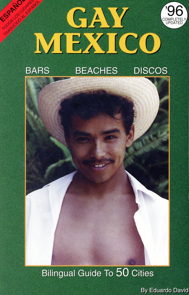 Item #5207 Gay Mexico: Bars, Beaches, Discos. Eduardo DAVID.