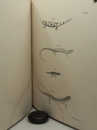 Zoology of New York, or the New York Fauna, Part III. Reptiles and Amphibia