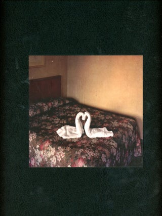 Item #7175 Niagara. Alec SOTH