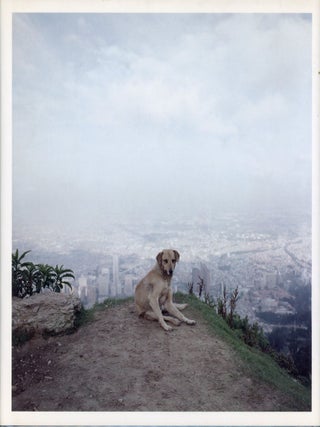 Item #8636 Dog Days Bogotâ. Alec SOTH