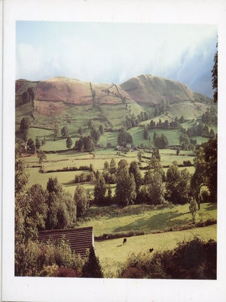 Item #8841 Catgut and Blossom: Jonathan Williams in England. Jonathan WILLIAMS