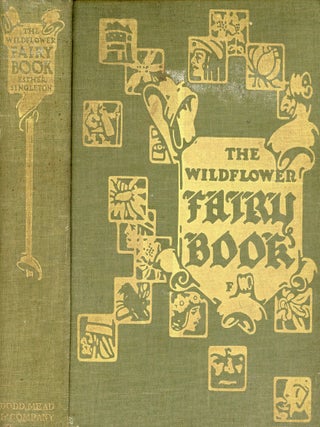 Item #8880 The Wild Flower Fairy Book. Esther SINGLETON