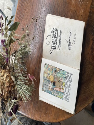 The Wild Flower Fairy Book