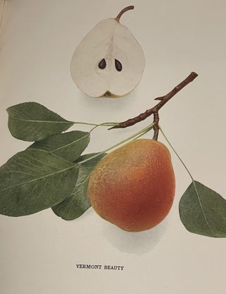 The Pears of New York