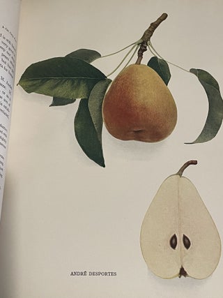 The Pears of New York