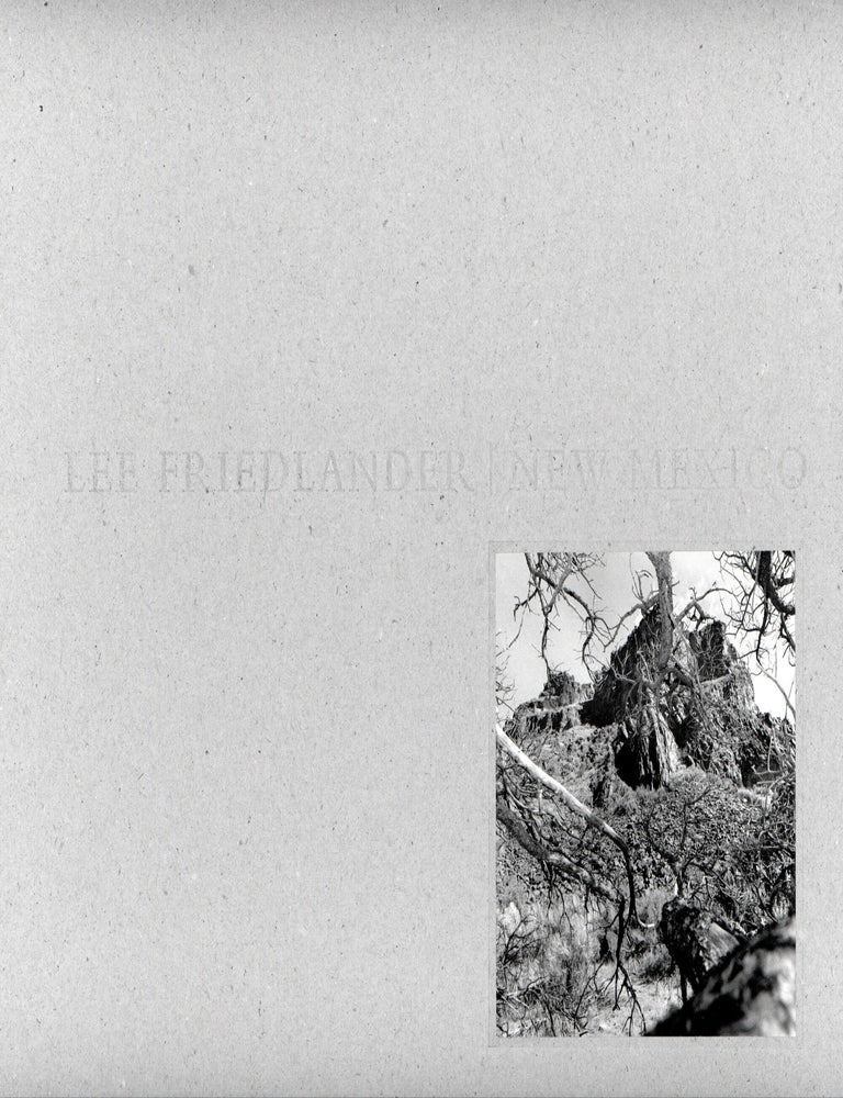 Item #9152 New Mexico. Lee FRIEDLANDER.