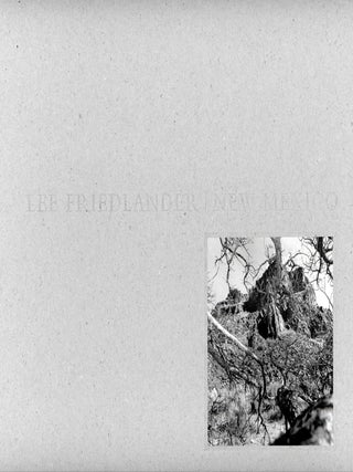 New Mexico. Lee FRIEDLANDER.