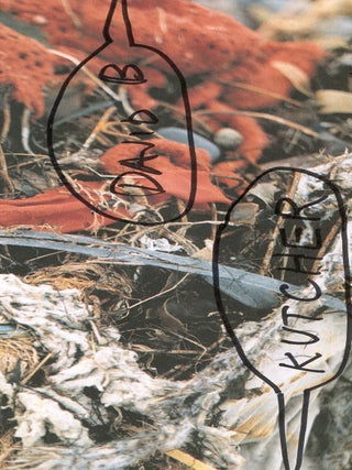 Strange Ritual: Pictures and Words