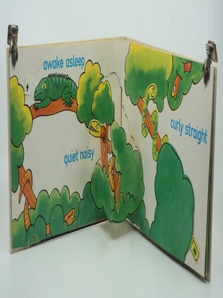 Item #9896 The Most Amazing Hide-and-Seek Opposite Book. Robert CROWTHER